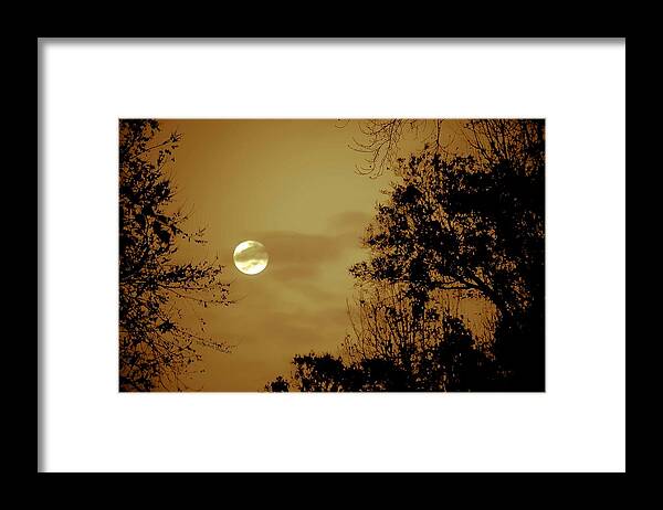 Moon Framed Print featuring the photograph Yesteryears Moon by DigiArt Diaries by Vicky B Fuller