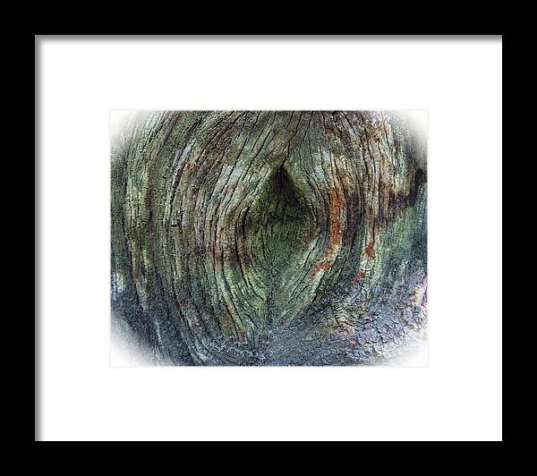 Tree Framed Print featuring the photograph Yoni au Naturel Une by Vincent Green