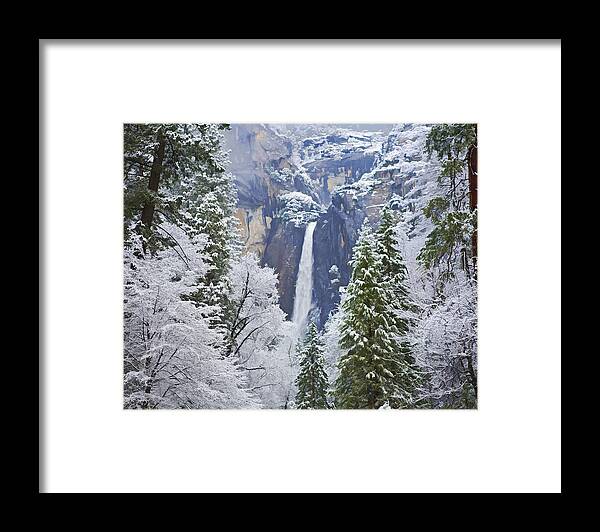 Yosemite Framed Print featuring the photograph Yosemite Falls in the Snow by Gregory Scott