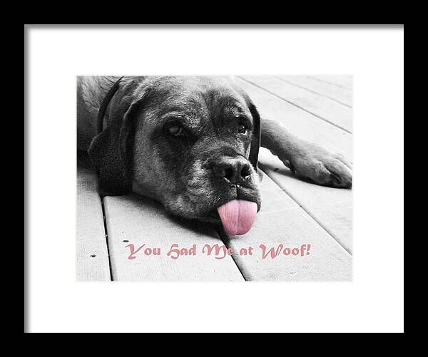 You Had Me At Woof Framed Print featuring the photograph You Had Me at Woof by William Fields