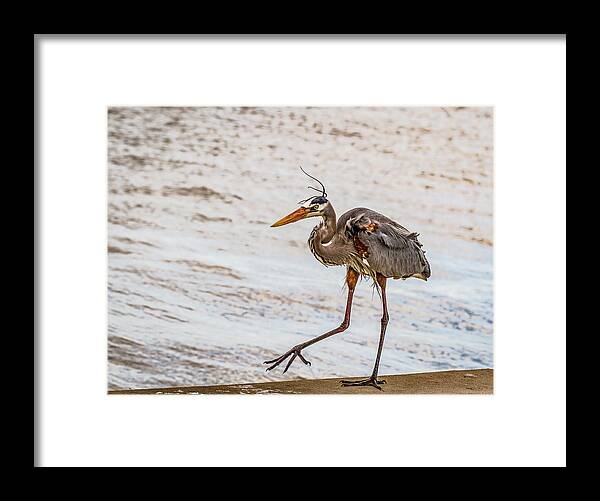 You Put Your Right Foot Out Framed Print featuring the photograph You Put Your Right Foot Out by Jean Noren