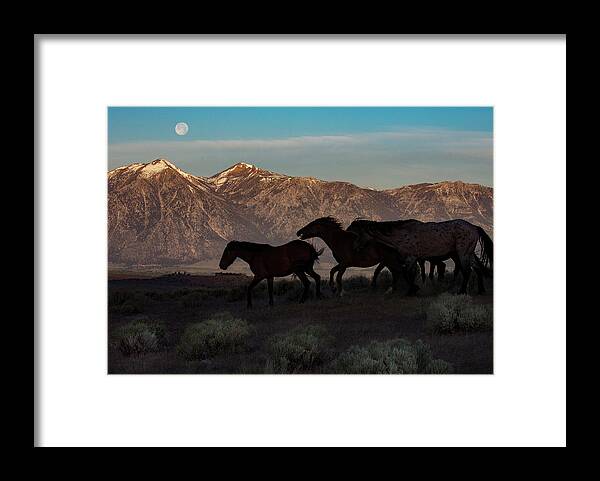  Framed Print featuring the photograph _z3a4237 by John T Humphrey
