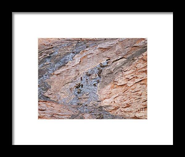 Thirsty Framed Print featuring the photograph Zebra Finches at Uluru Waterhole by Phil Banks