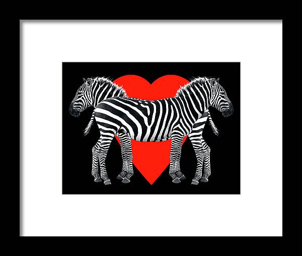 Africa Framed Print featuring the photograph Zebra Love by Gill Billington