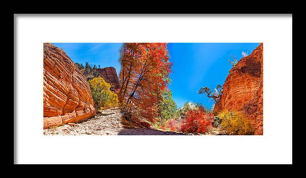 Coffee Framed Print featuring the photograph Zion Collage Mug Shot by John M Bailey