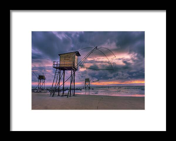 Purple Framed Print featuring the photograph by Sobul