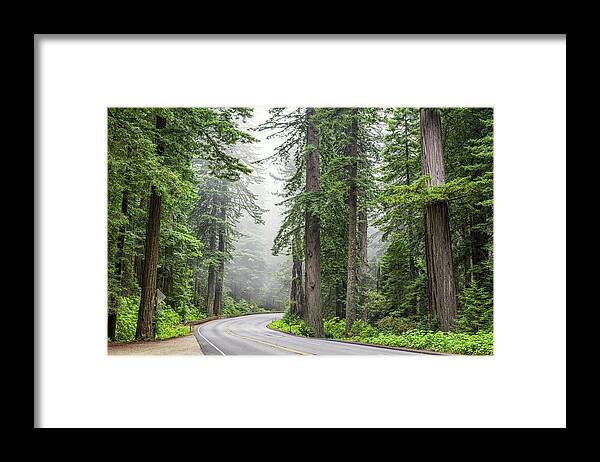 101 Through The Redwoods Framed Print featuring the photograph 101 Through The Redwoods by Joseph S Giacalone