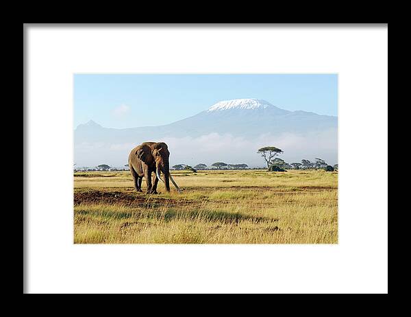 Kenya Framed Print featuring the photograph Africa #1 by Oversnap