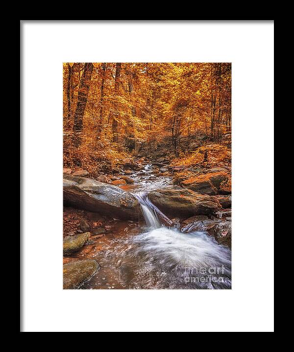 Amicalola-falls Framed Print featuring the photograph Amicalola Falls #2 by Bernd Laeschke