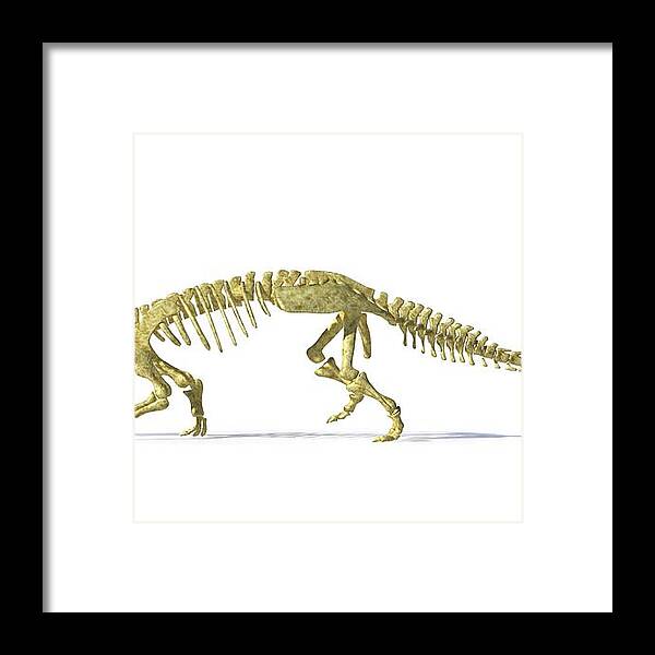 Prehistoric Era Framed Print featuring the photograph Ankylosaur Dinosaur Skeleton, Artwork #1 by Leonello Calvetti
