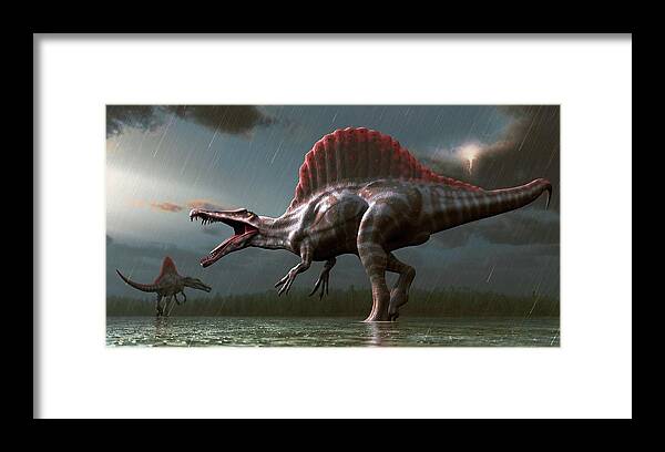 Prehistoric Era Framed Print featuring the digital art Artwork Of A Spinosaurus Dinosaur by Mark Garlick