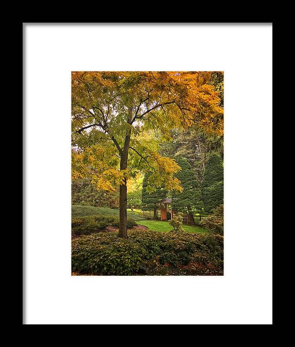 Autumn Framed Print featuring the photograph Autumn in the Park #3 by Jerry Abbott