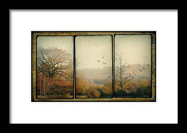 Triptych Framed Print featuring the photograph Autumn by Peggy Dietz