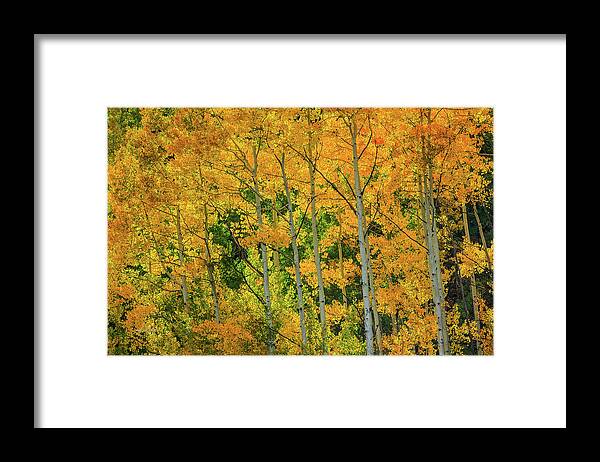 Backlit Embrace Framed Print featuring the photograph Backlit Embrace #1 by Bill Sherrell