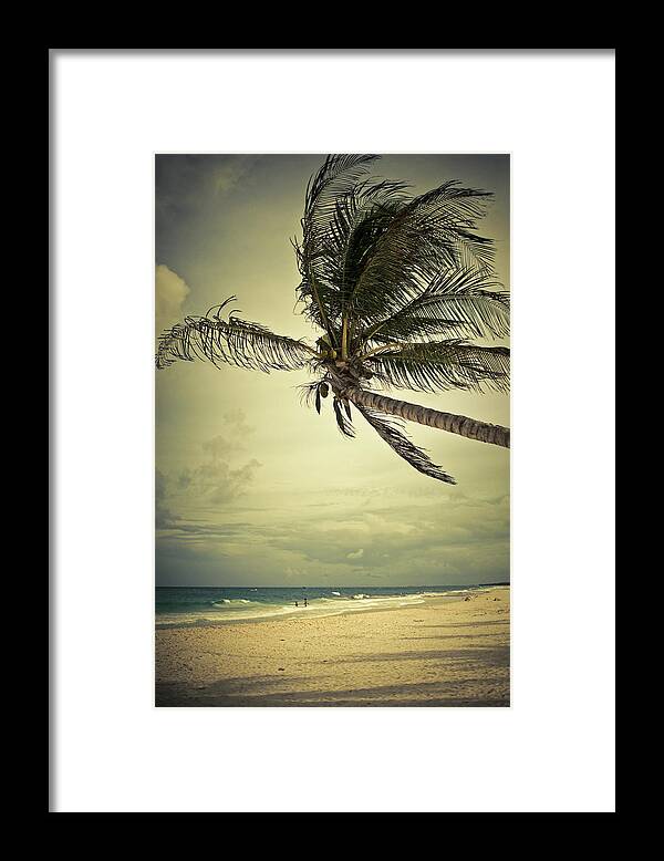 Latin America Framed Print featuring the photograph Beach In Mexico #1 by Thepalmer