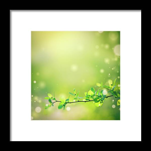 Scenics Framed Print featuring the photograph Beautiful Nature by Jeja
