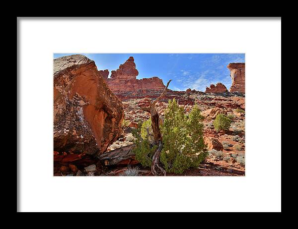 Valley Of The Gods Framed Print featuring the photograph Beautiful Valley of the Gods in Utah #1 by Ray Mathis