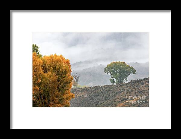  Framed Print featuring the photograph Behind the Veil #1 by Jim Garrison