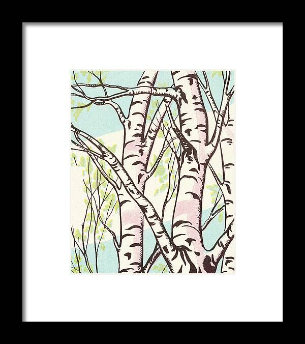 Birch Framed Print featuring the drawing Birch Trees #1 by CSA Images