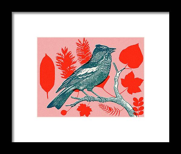 Animal Framed Print featuring the drawing Bird Perched on a Branch #1 by CSA Images