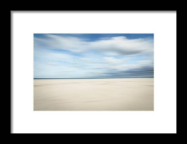 Icm Framed Print featuring the photograph Birds At The Seaside #1 by Dieter Reichelt