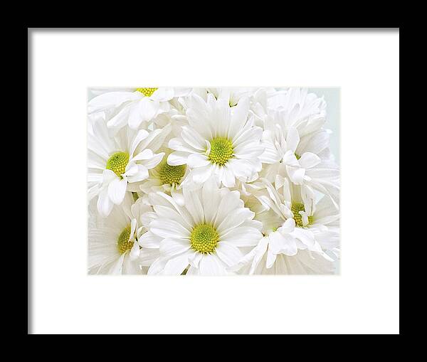 Bunch Framed Print featuring the photograph Bunch Of White Daisies #1 by Gail Peck
