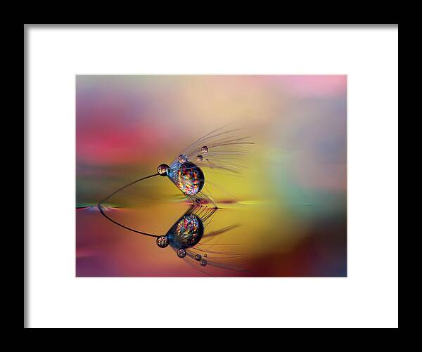 Color Framed Print featuring the photograph Colorize The Darkness #1 by Heidi Westum