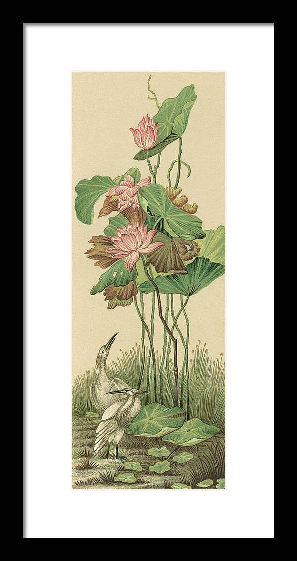 Botanical & Floral Framed Print featuring the painting Crane And Lotus Panel I #1 by Racinet