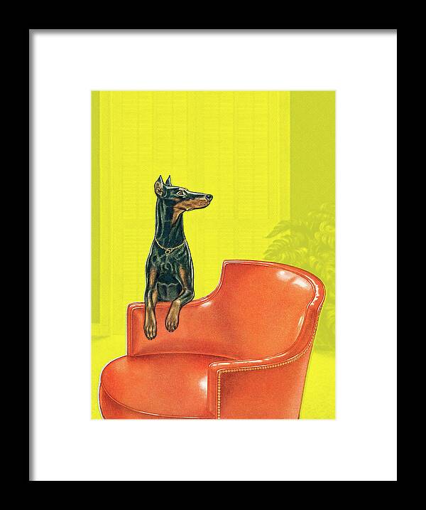 Animal Framed Print featuring the drawing Doberman #1 by CSA Images