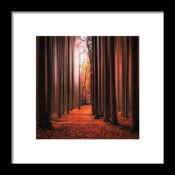 Fall Framed Print featuring the photograph Dont Wake Me Up by Christian Lindsten