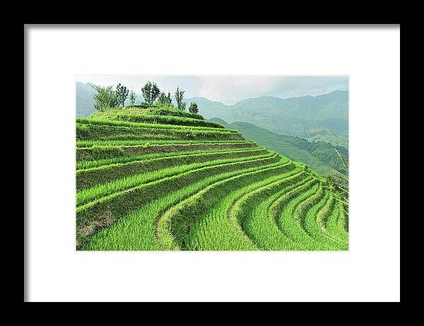 Tranquility Framed Print featuring the photograph Dragon Backbone Rice Terraces #1 by (c) Loco Moco Photos