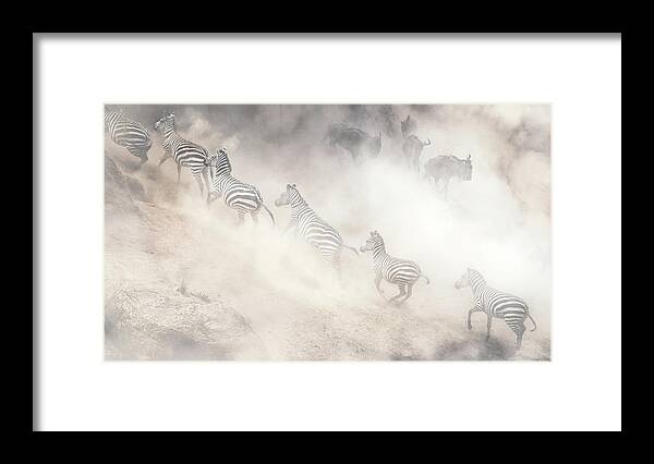 Wildlife Framed Print featuring the photograph Dramatic Dusty Great Migration in Kenya by Good Focused