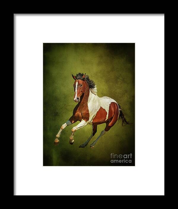 Nina Stavlund Framed Print featuring the photograph Equus Caballus... by Nina Stavlund
