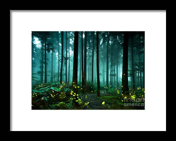 Through Framed Print featuring the photograph Firefly by Htu