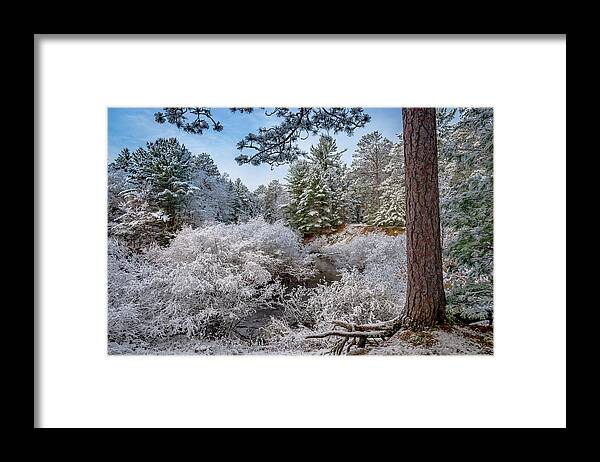 Grand Marais Mi Framed Print featuring the photograph First Snow #1 by Gary McCormick