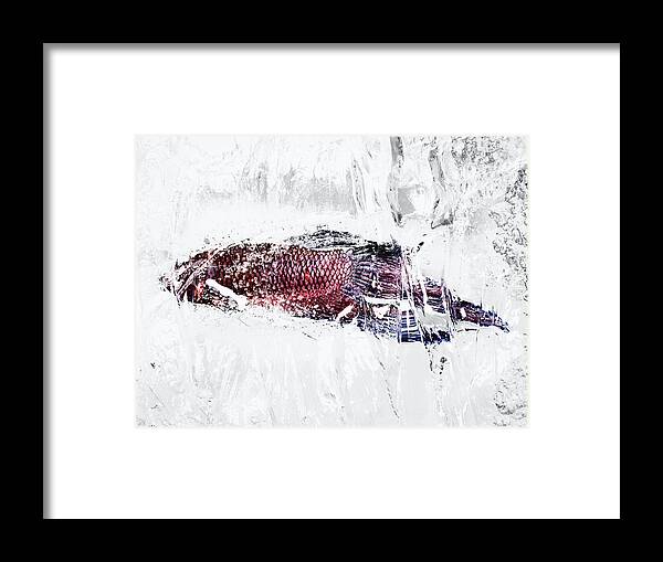 Outdoors Framed Print featuring the photograph Fish In Ice #1 by Yusuke Murata