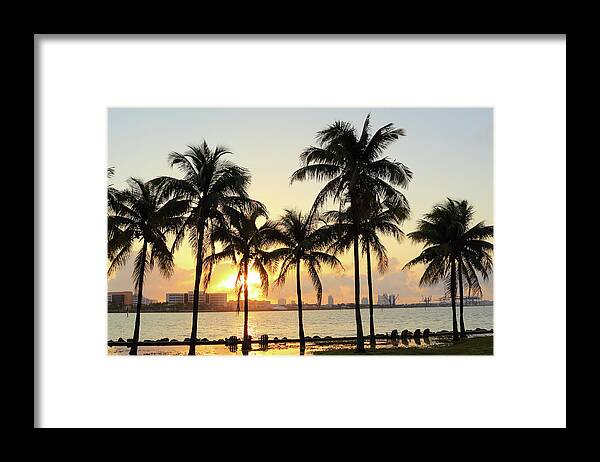 Scenics Framed Print featuring the photograph Florida Miami #1 by Shunyufan