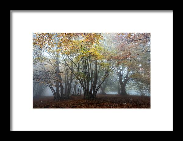 Fog
Beech
Forest
Autumn
Foliage
Canfaito Framed Print featuring the photograph Fog #1 by Sergio Barboni