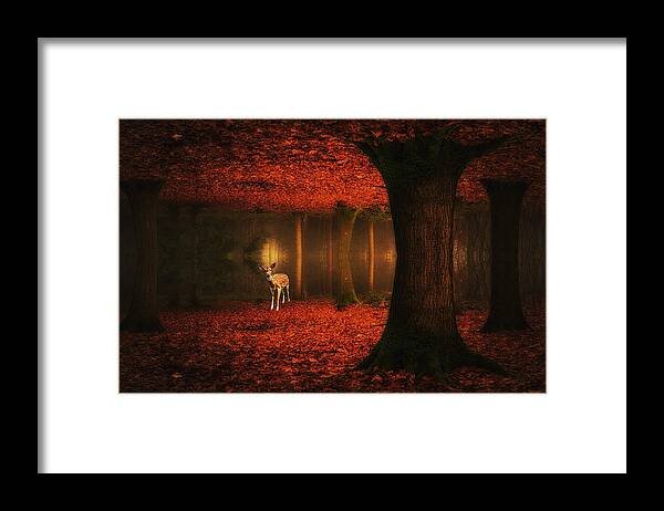 Dear Framed Print featuring the photograph Forest Dream. #1 by Saskia Dingemans