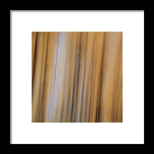 Amber Framed Print featuring the photograph Forest Illusions- Amber Forest #1 by Whispering Peaks Photography