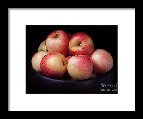 Fruit Framed Print featuring the photograph Gala Apples #1 by Ann Jacobson