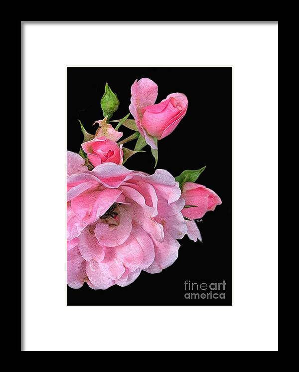 Rose Framed Print featuring the digital art Pink Garden Roses 2 by Diana Rajala