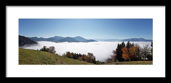 Treetop Framed Print featuring the photograph Germany, Bavaria, Upper Bavaria, View #1 by Westend61