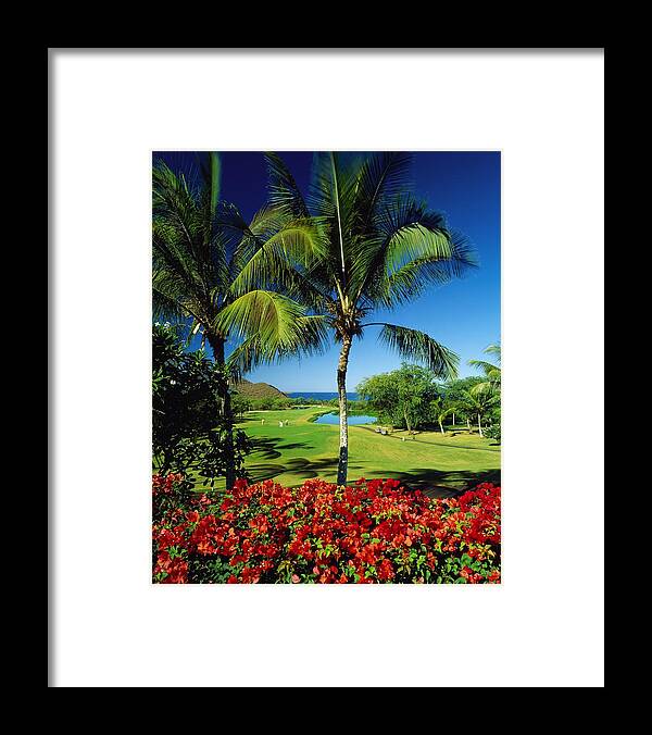 Estock Framed Print featuring the digital art Golf Course With Palm Trees #1 by Giovanni Simeone