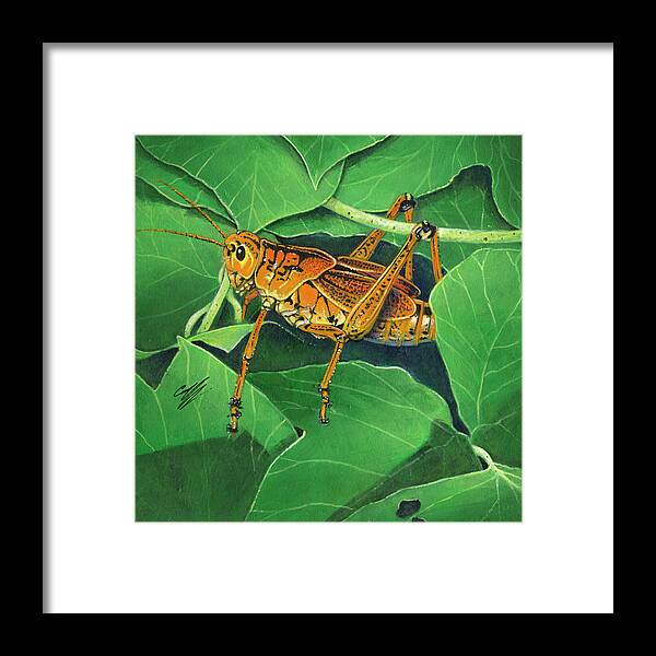 Grasshopper Framed Print featuring the painting Grasshopper #1 by Durwood Coffey