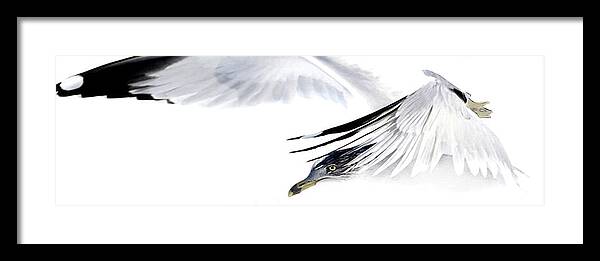 Seagull Framed Print featuring the mixed media Gull In Flight #1 by Karen Williams