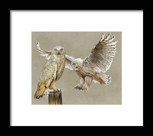 Snowy Owls Framed Print featuring the painting Halcyon #1 by Barbara Keith