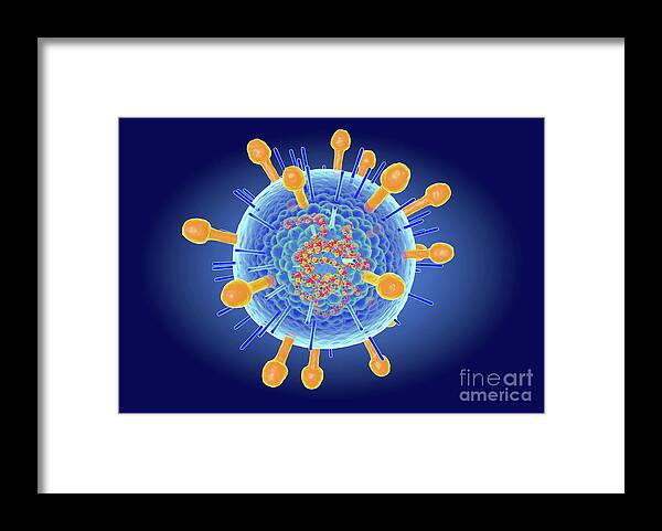 Hendravirus Framed Print featuring the photograph Hendra Virus Structure #1 by Roger Harris/science Photo Library