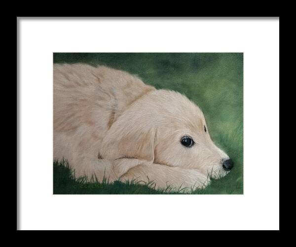 Dog Framed Print featuring the pastel It Wasn't Me by Carol Corliss
