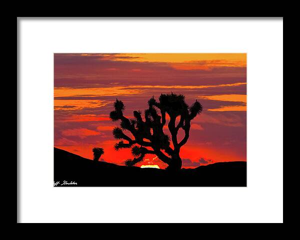 Arid Climate Framed Print featuring the photograph Joshua Tree at Sunset by Jeff Goulden